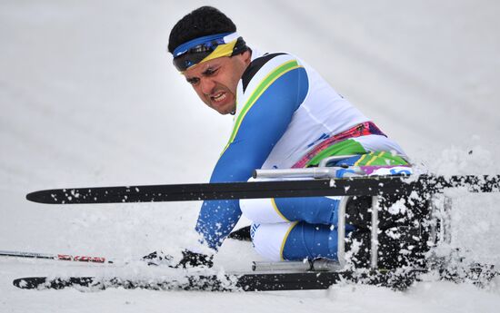 2014 Winter Paralympics. Cross-country skiing. Men. 15km race