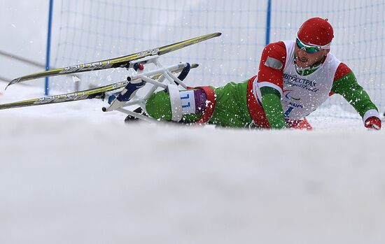 2014 Winter Paralympics. Cross-country skiing. Men. 15km race