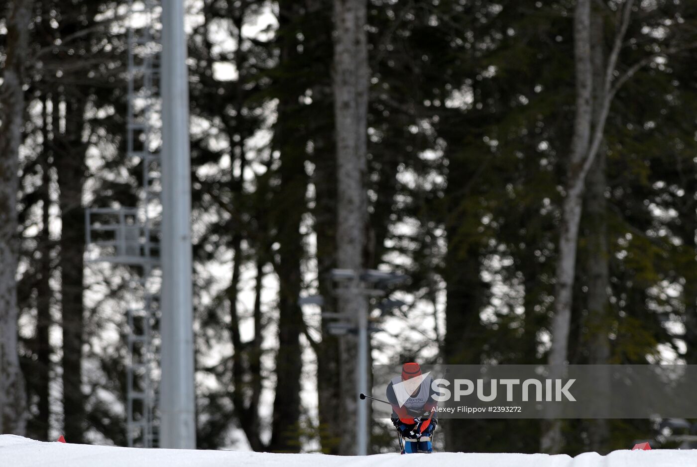 2014 Winter Paralympics. Cross-country skiing. Men. 15km race
