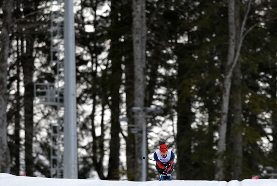 2014 Winter Paralympics. Cross-country skiing. Men. 15km race
