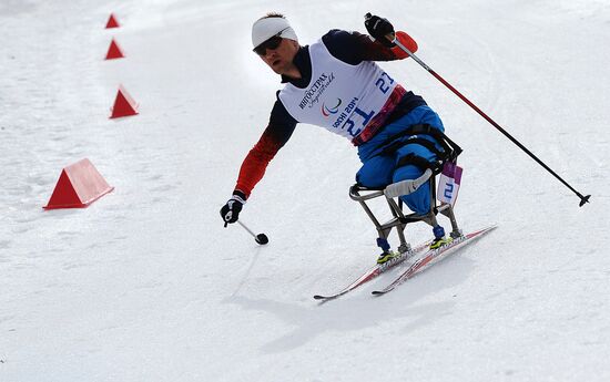 2014 Winter Paralympics. Cross-country skiing. Men. 15km race