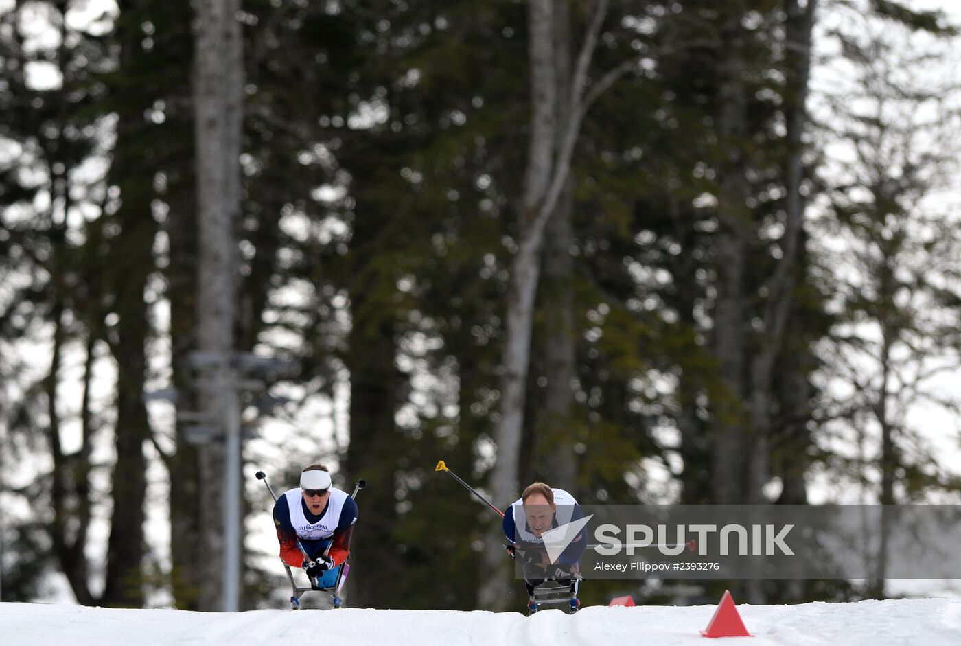 2014 Winter Paralympics. Cross-country skiing. Men. 15km race