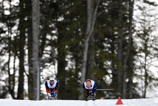 2014 Winter Paralympics. Cross-country skiing. Men. 15km race