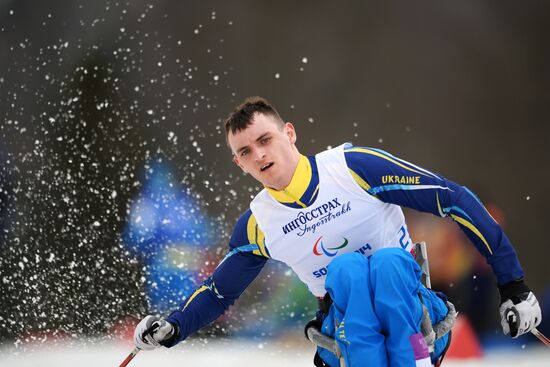 2014 Winter Paralympics. Cross-country skiing. Men. 15km race