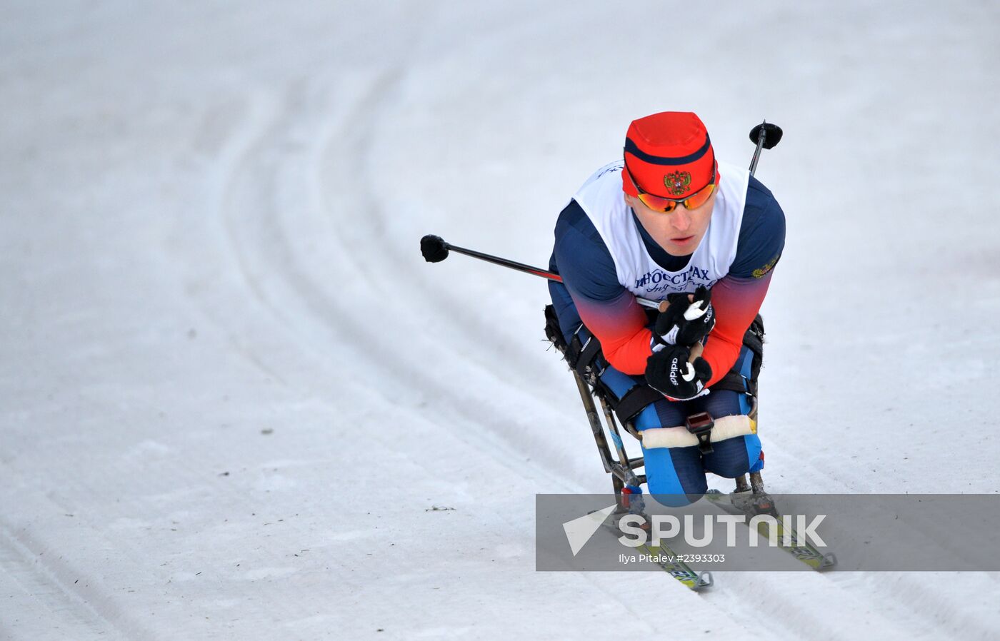 2014 Winter Paralympics. Cross-country skiing. Men. 15km race