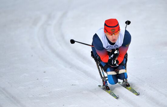 2014 Winter Paralympics. Cross-country skiing. Men. 15km race