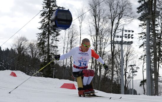 2014 Winter Paralympics. Cross-country skiing. Men. 15km race
