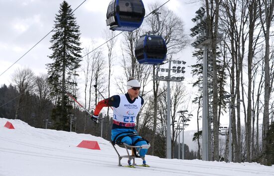 2014 Winter Paralympics. Cross-country skiing. Men. 15km race