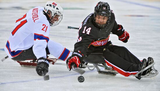 2014 Winter Paralympics. Ice sledge hockey. Canada vs. Norway