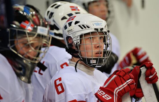 2014 Winter Paralympics. Ice sledge hockey. Canada vs. Norway