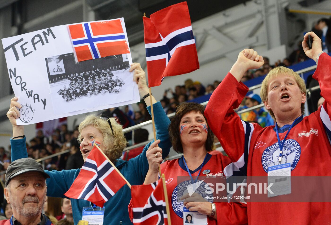 2014 Winter Paralympics. Ice sledge hockey. Canada vs. Norway