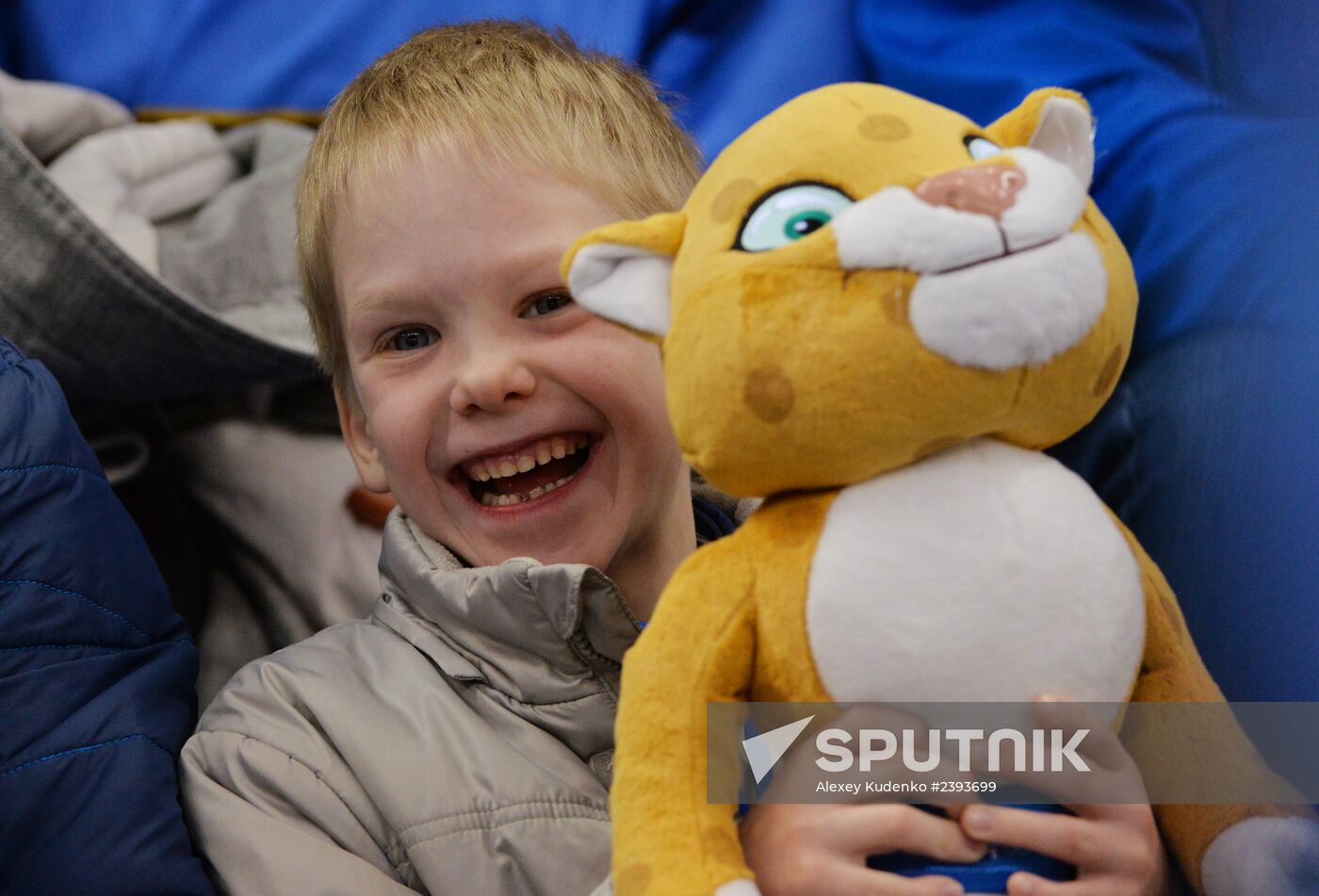 2014 Winter Paralympics. Ice sledge hockey. Russia vs. Italy