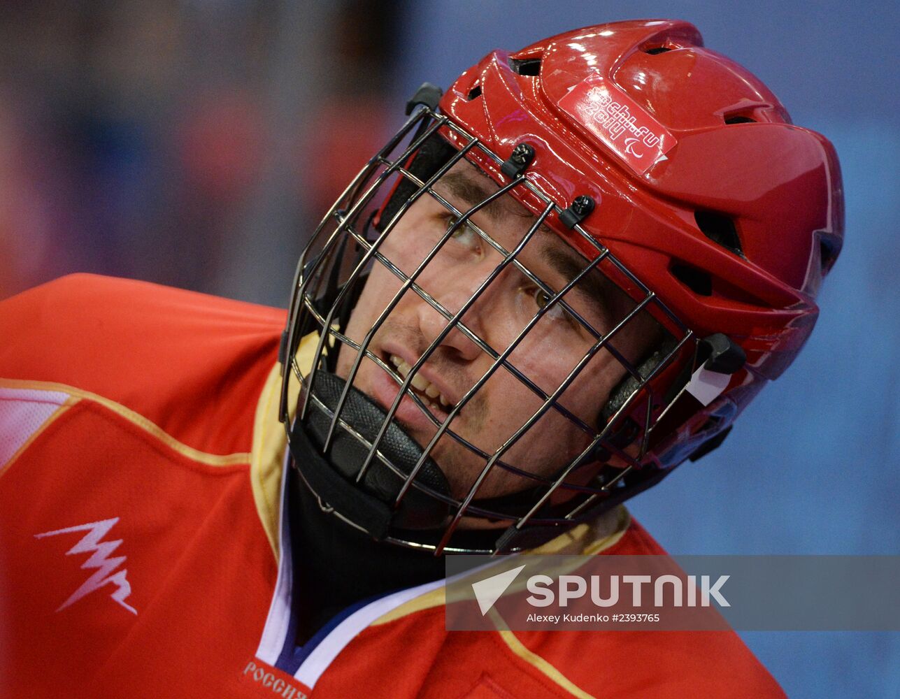 2014 Winter Paralympics. Ice sledge hockey. Russia vs. Italy