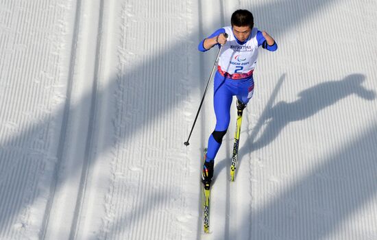 2014 Winter Paralympics. Cross-country skiing. Men. 20km race