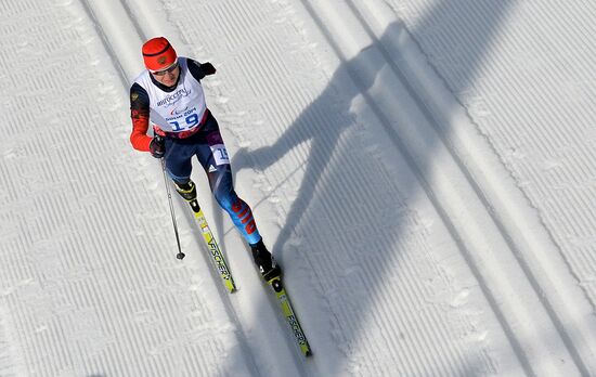 2014 Winter Paralympics. Cross-country skiing. Men. 20km race