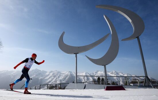 2014 Winter Paralympics. Cross-country skiing. Men. 20km race