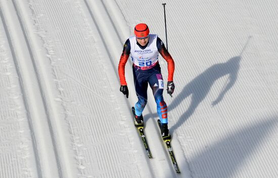 2014 Winter Paralympics. Cross-country skiing. Men. 20km race