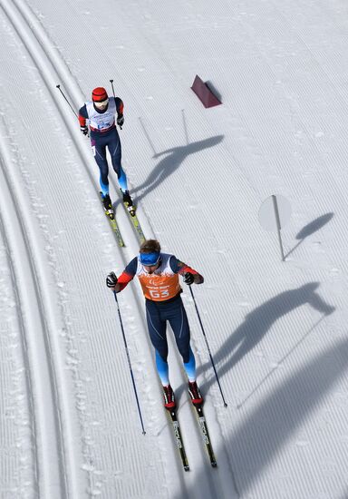 2014 Winter Paralympics. Cross-country skiing. Men. 20km race