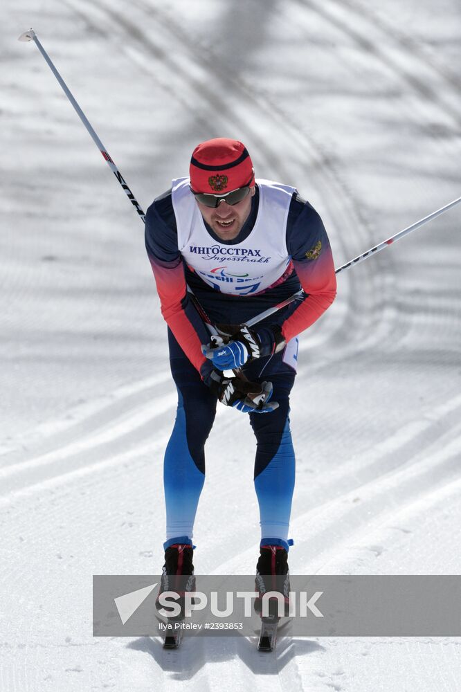 2014 Winter Paralympics. Cross-country skiing. Men. 20km race