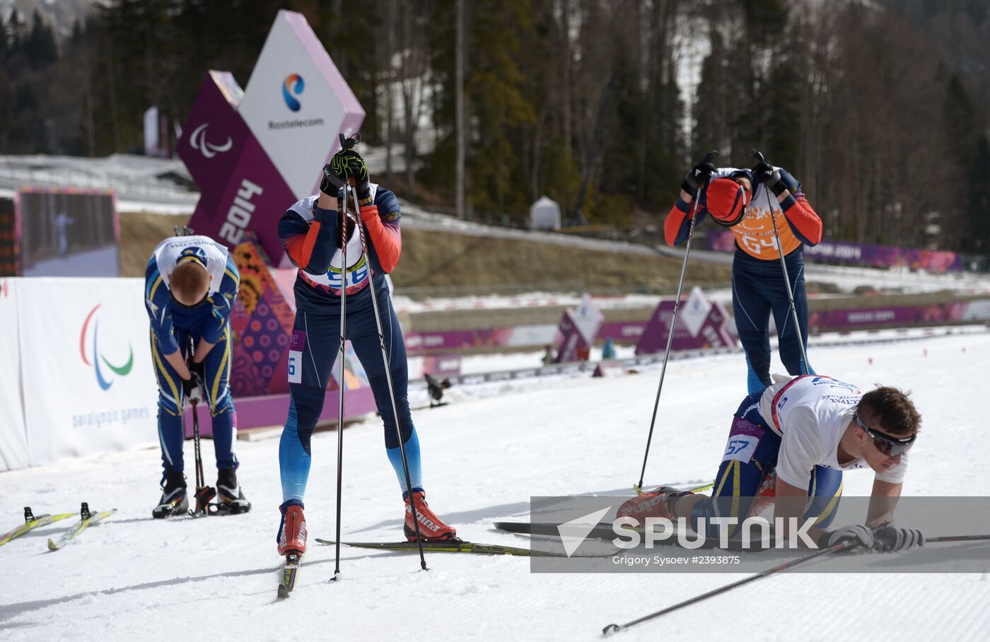 2014 Winter Paralympics. Cross-country skiing. Men. 20km race
