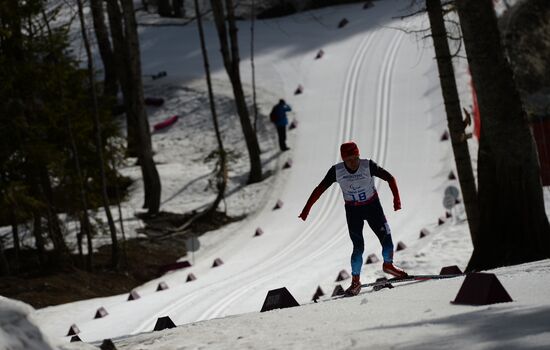 2014 Winter Paralympics. Cross-country skiing. Men. 20km race