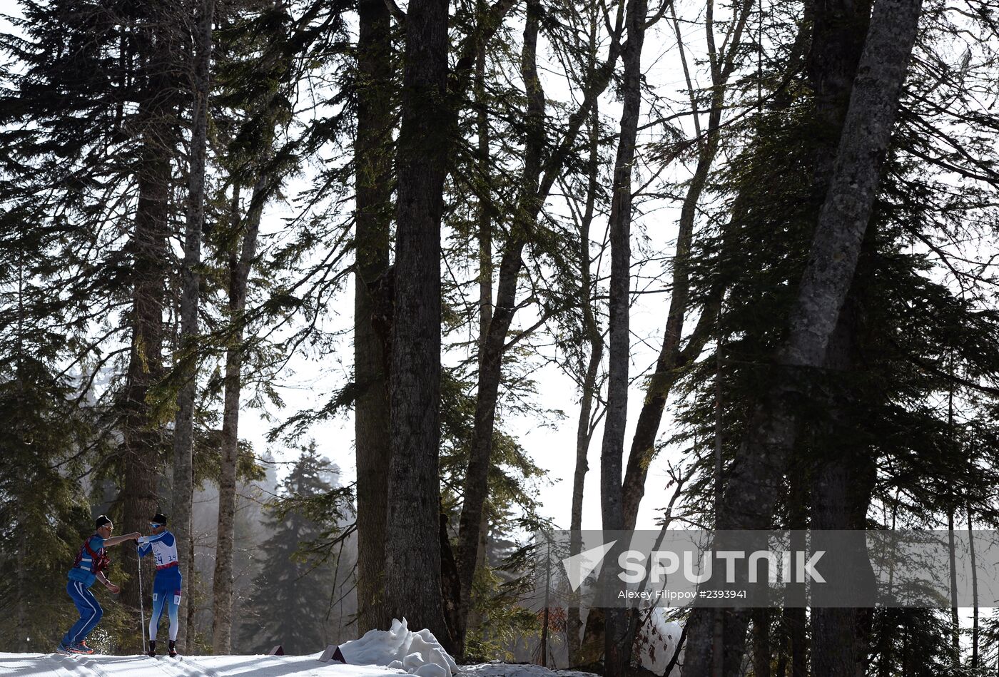 2014 Winter Paralympics. Cross-country skiing. Men. 20km race