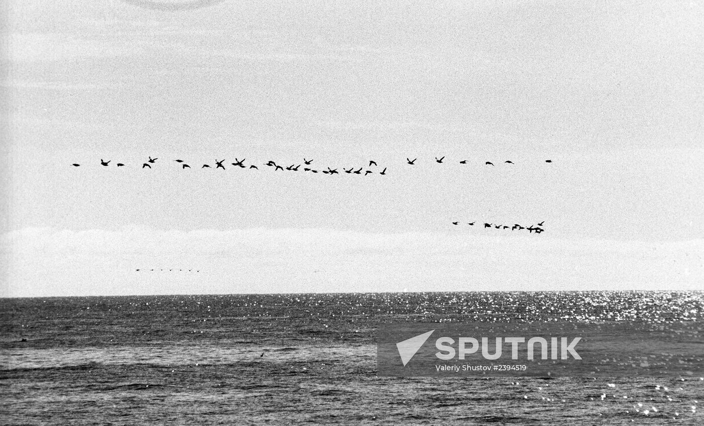 The Pacific Ocean