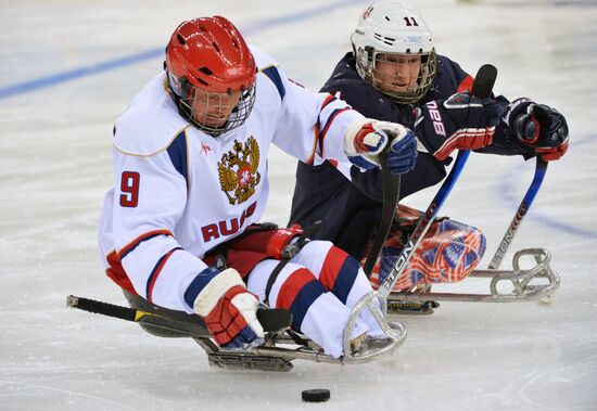 2014 Paralympics. Ice sledge hockey. USA vs. Russia