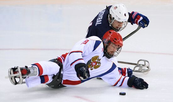 2014 Paralympics. Ice sledge hockey. USA vs. Russia