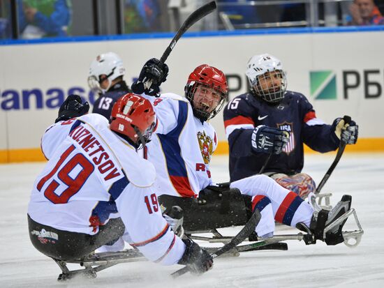 2014 Paralympics. Ice sledge hockey. USA vs. Russia