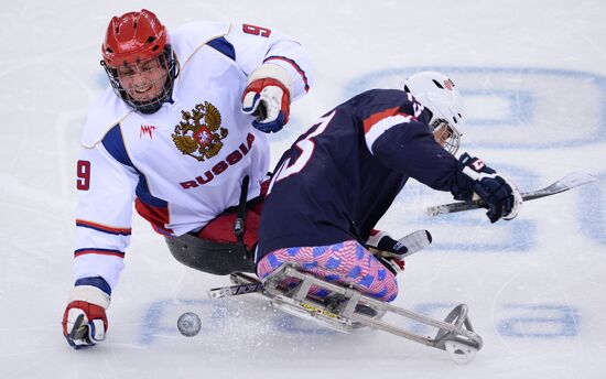 2014 Paralympics. Ice sledge hockey. USA vs. Russia