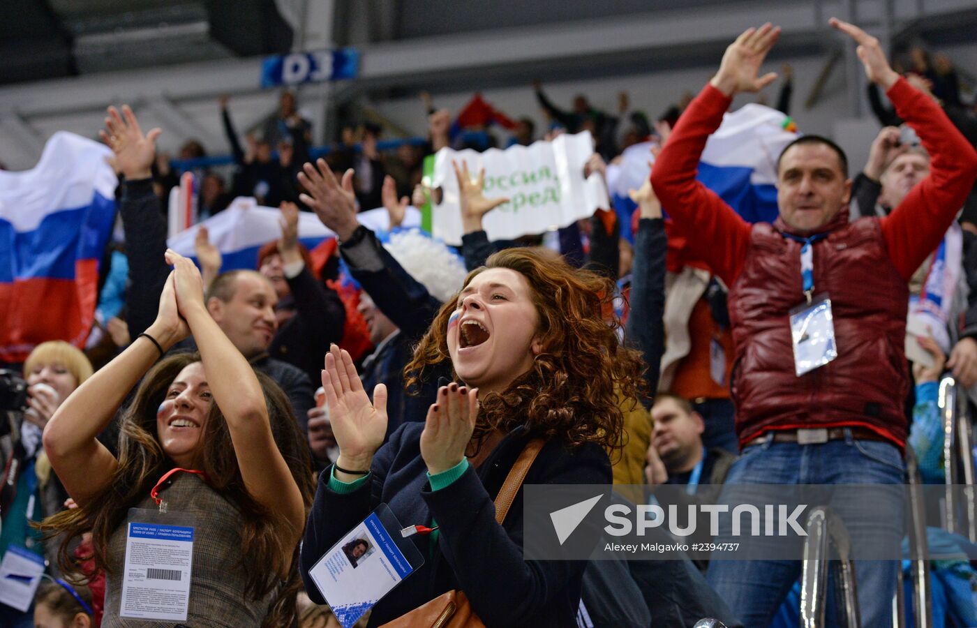 2014 Paralympics. Ice sledge hockey. USA vs. Russia