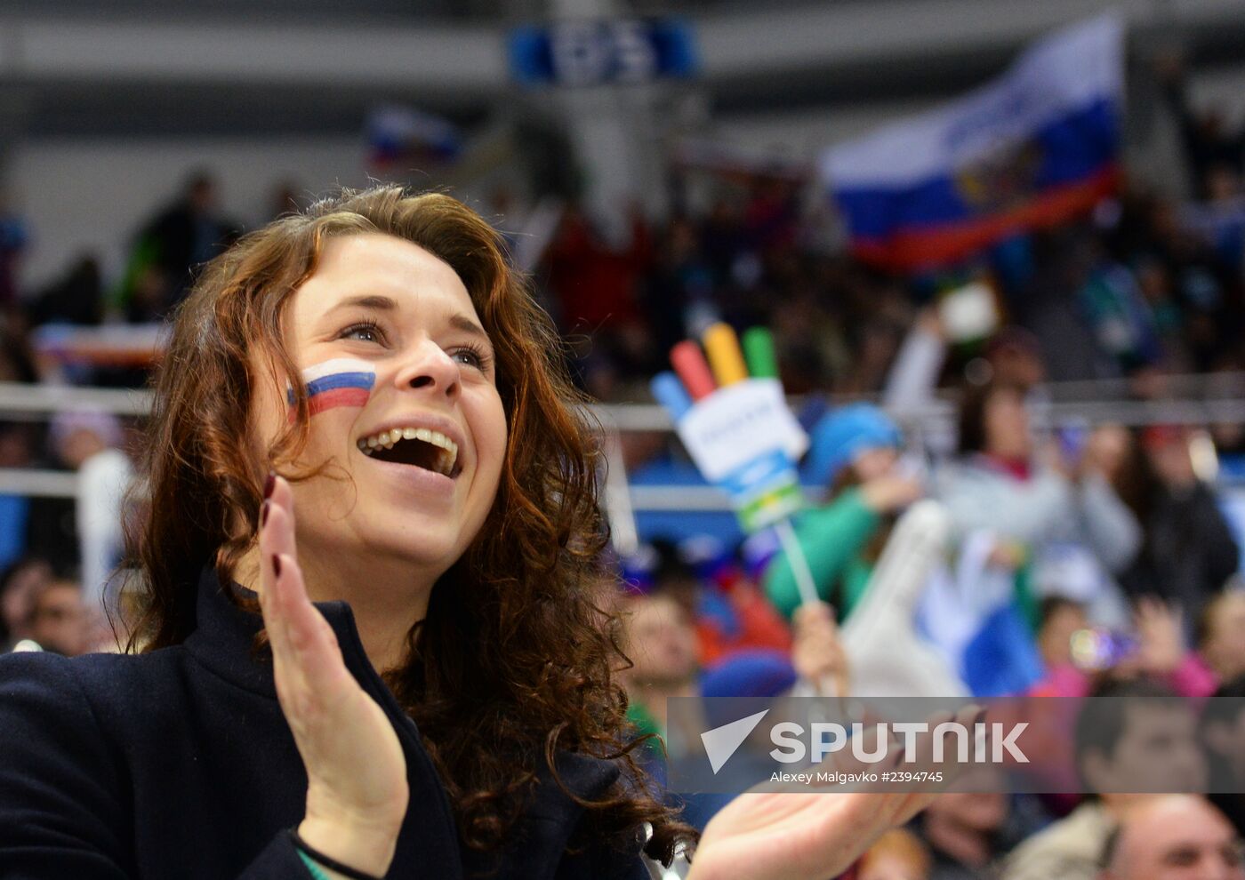 2014 Paralympics. Ice sledge hockey. USA vs. Russia