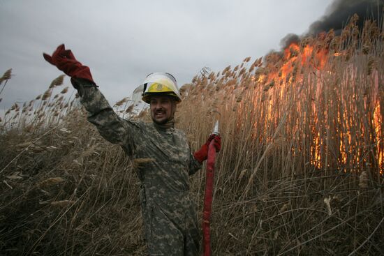 Cane fires extinguished in Astrakhan Region