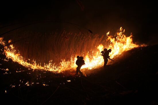Cane fires extinguished in Astrakhan Region