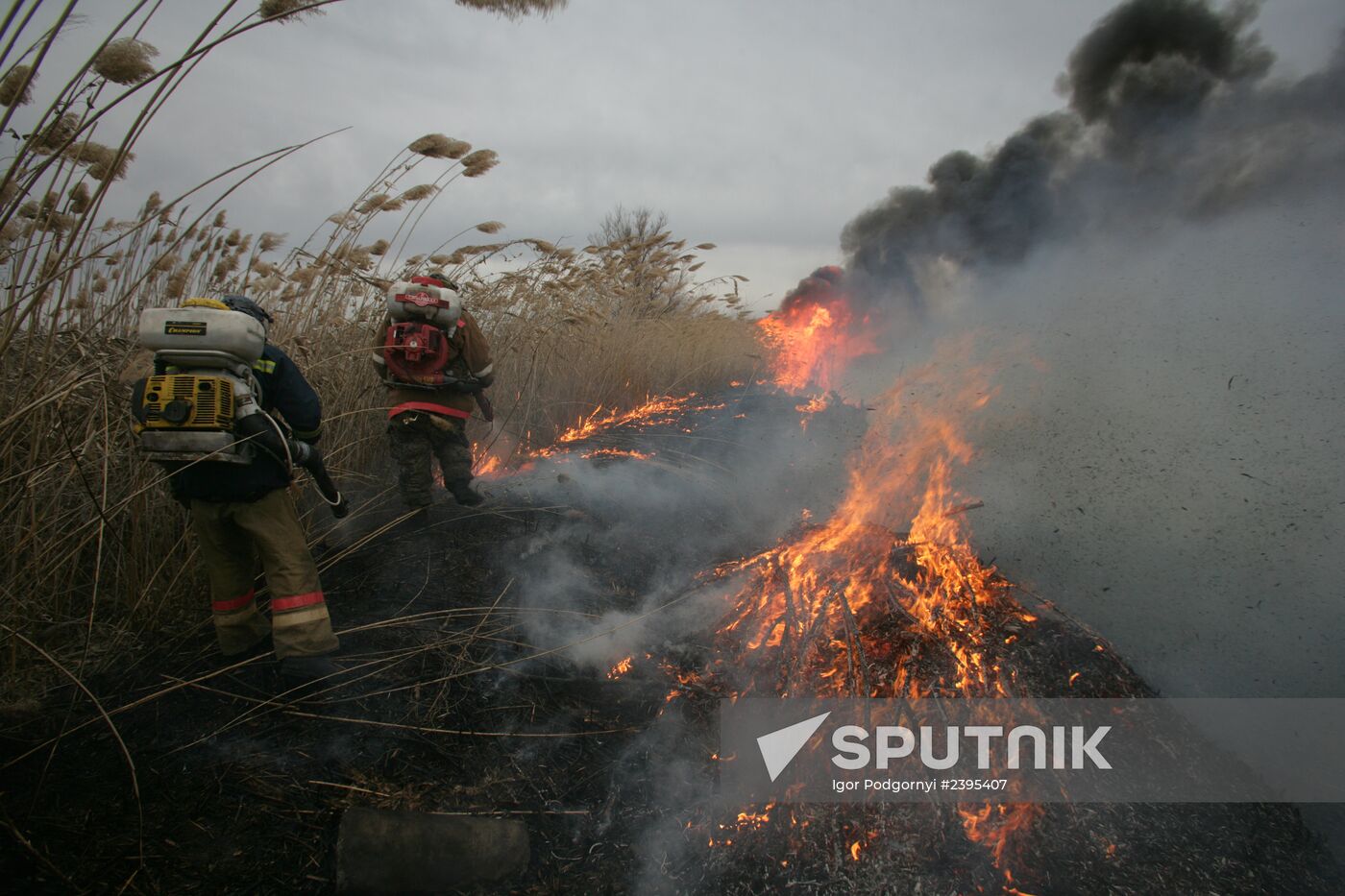 Cane fires extinguished in Astrakhan Region