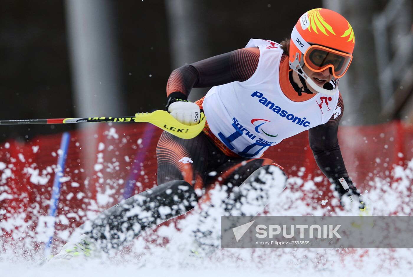 2014 Winter Paralympics. Apline Skiing. Men. Slalom