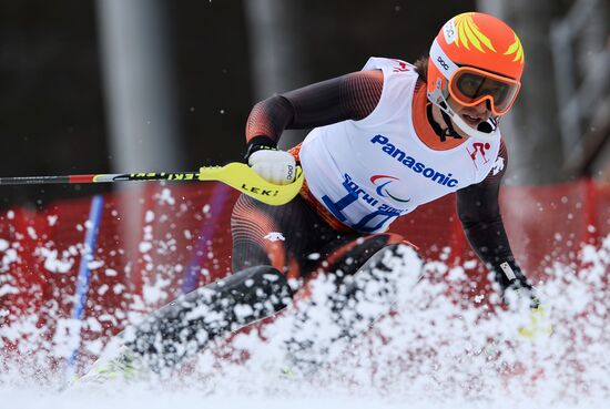 2014 Winter Paralympics. Apline Skiing. Men. Slalom