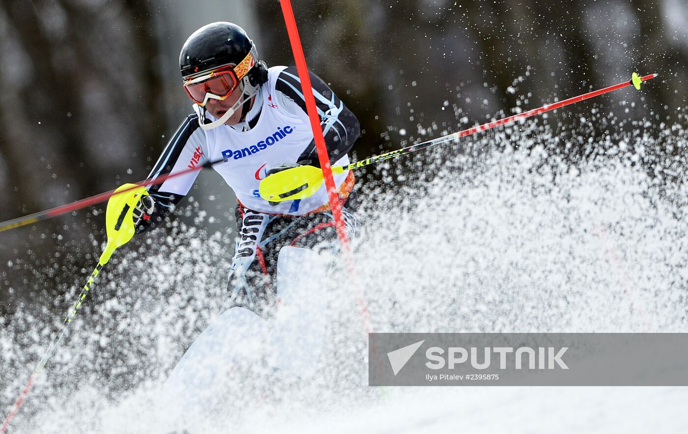 2014 Winter Paralympics. Apline Skiing. Men. Slalom
