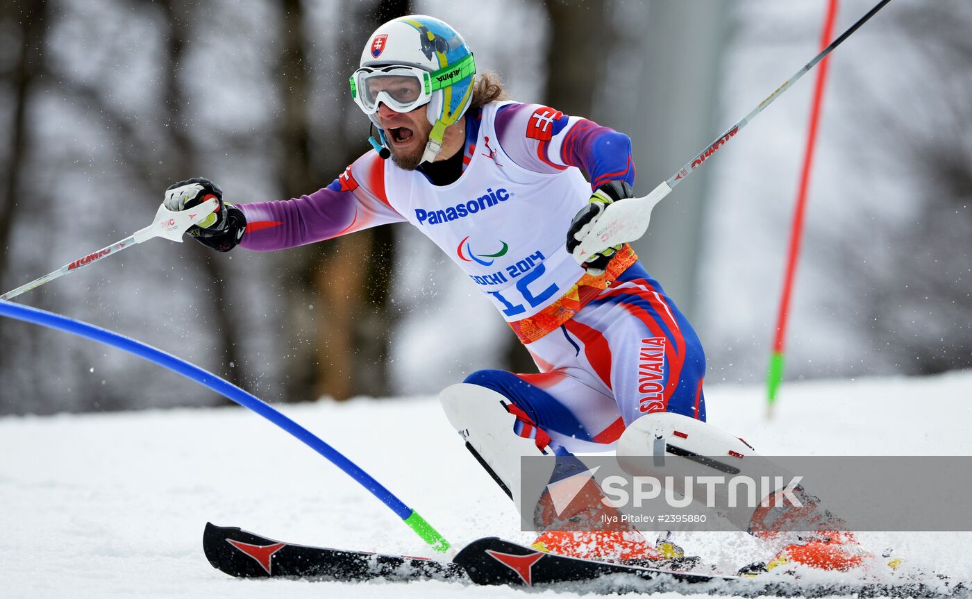 2014 Winter Paralympics. Apline Skiing. Men. Slalom