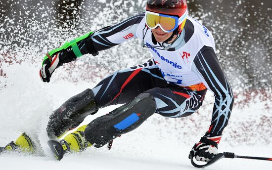 2014 Winter Paralympics. Apline Skiing. Men. Slalom