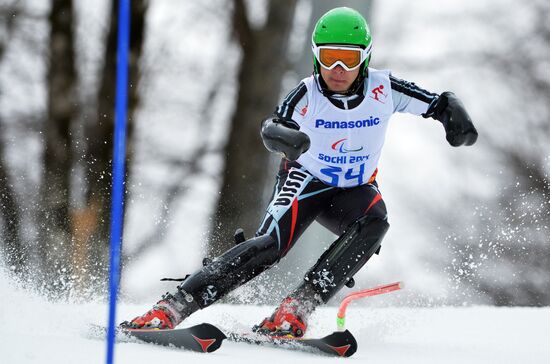 2014 Winter Paralympics. Alpine skiing. Men. Slalom