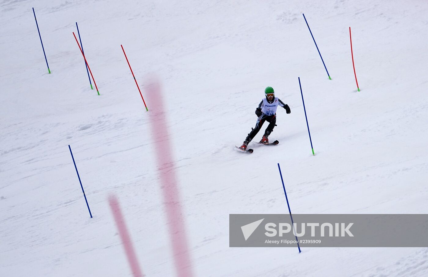 2014 Winter Paralympics. Alpine skiing. Men. Slalom