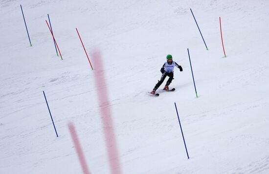 2014 Winter Paralympics. Alpine skiing. Men. Slalom