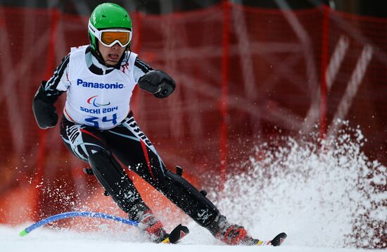 2014 Winter Paralympics. Alpine skiing. Men. Slalom