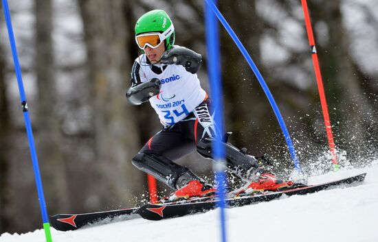 2014 Winter Paralympics. Alpine skiing. Men. Slalom