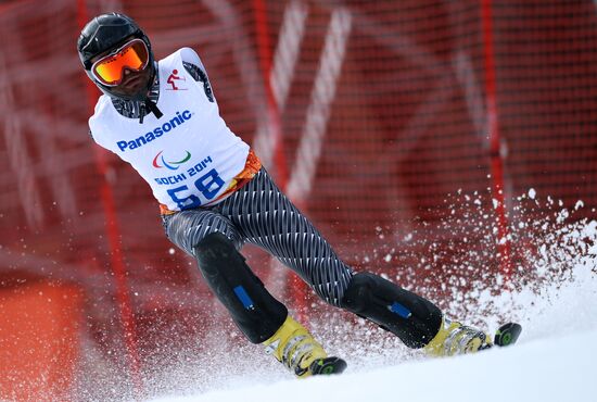 2014 Winter Paralympics. Alpine skiing. Men. Slalom