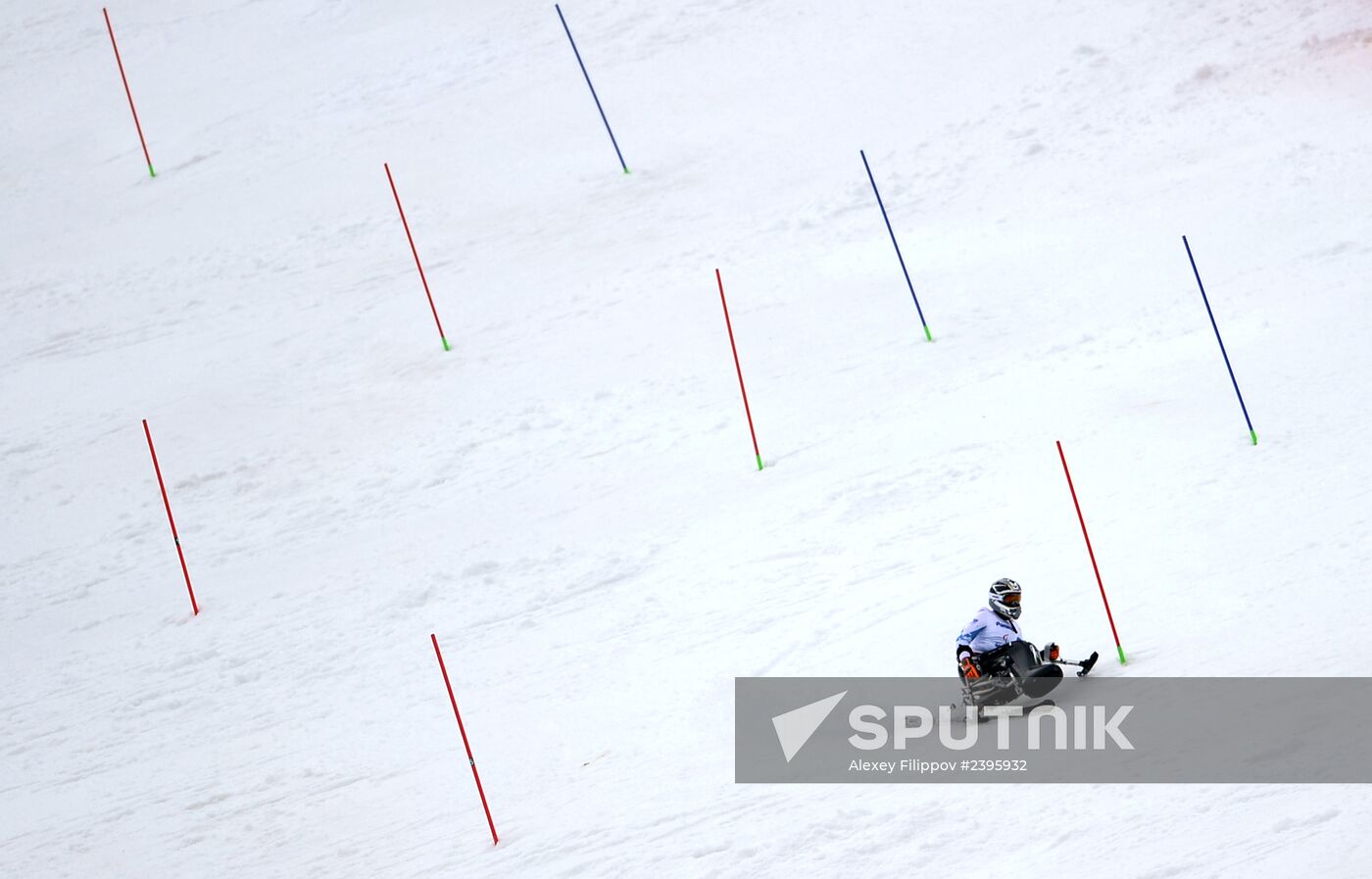 2014 Winter Paralympics. Alpine skiing. Men. Slalom