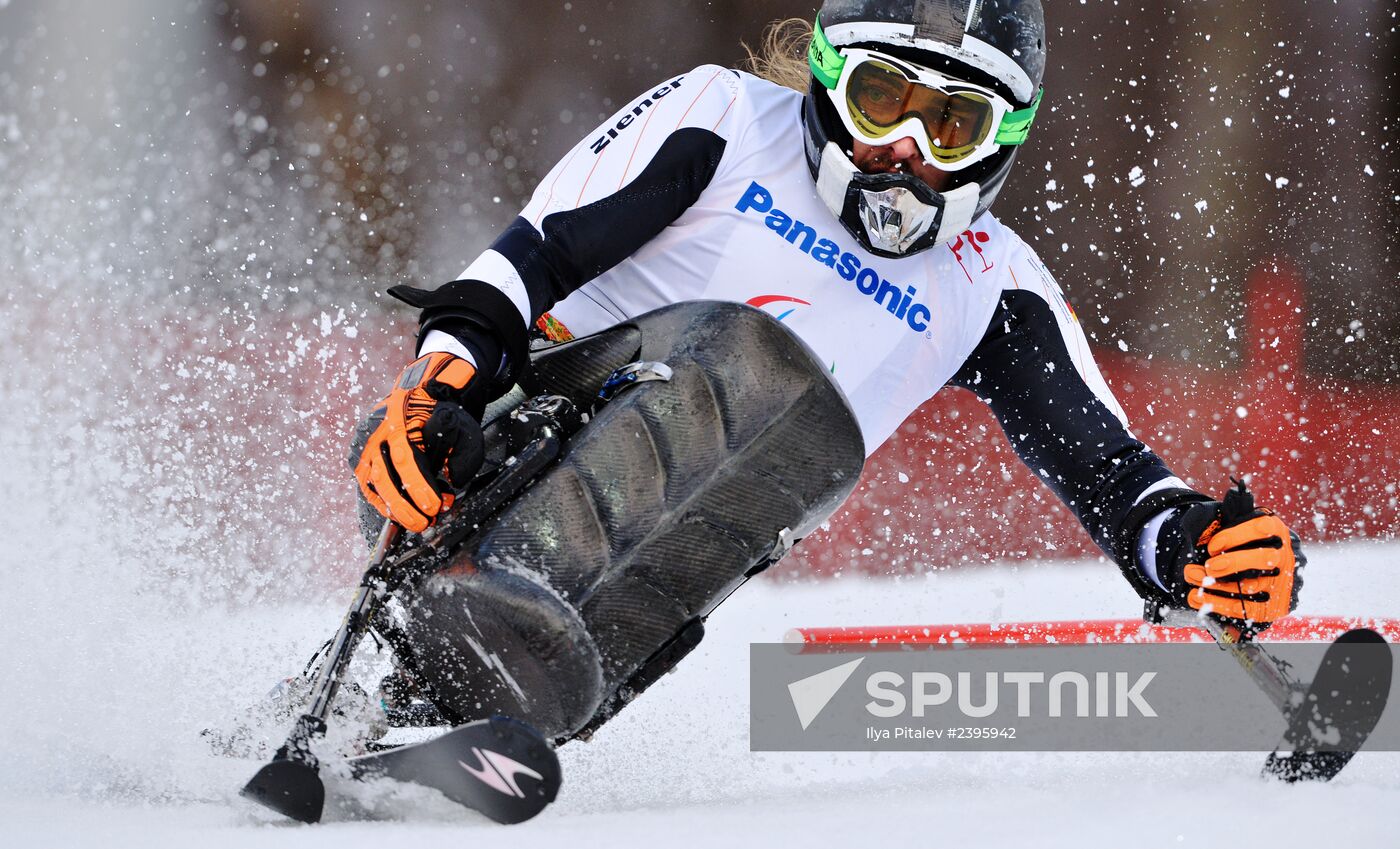 2014 Winter Paralympics. Alpine skiing. Men. Slalom