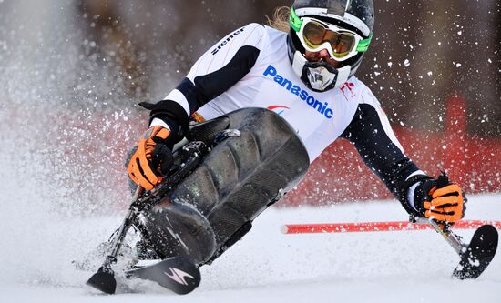 2014 Winter Paralympics. Alpine skiing. Men. Slalom